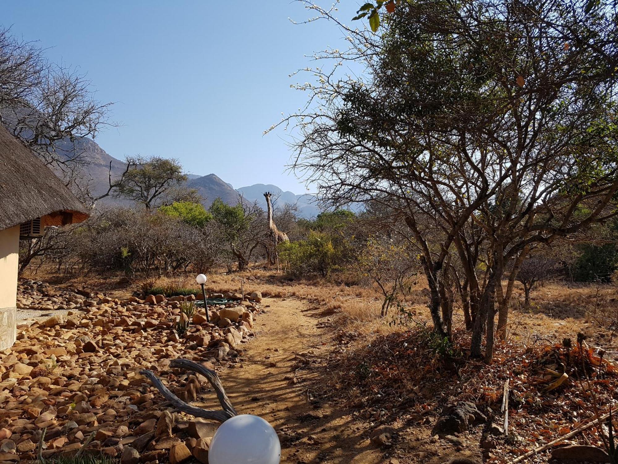 Bona Intaba Game Lodge Hoedspruit Exterior foto